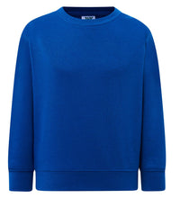 Load image into Gallery viewer, Kids royal blue sweatshirt