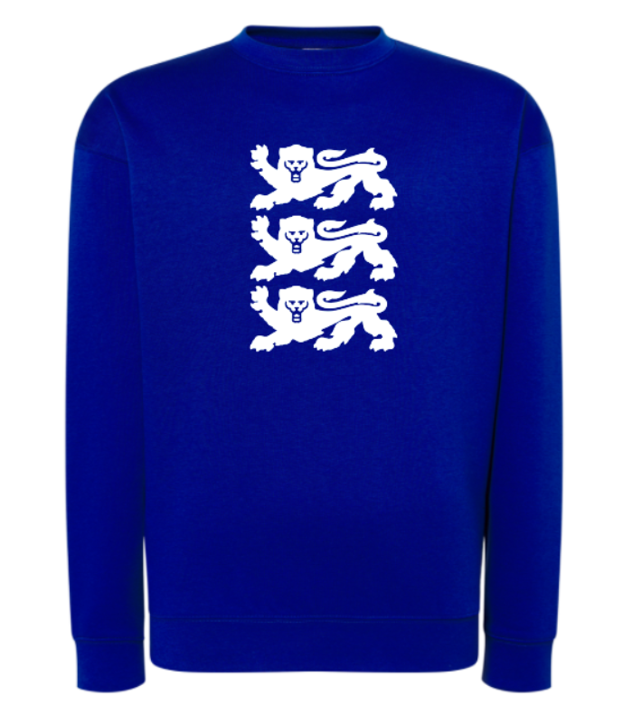 Royal blue sweatshirt with lions logo