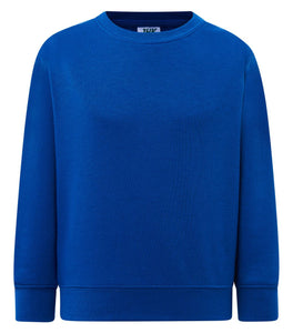 Kids royal blue sweatshirt